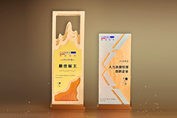 UG环球视讯ug国际一举斩获“2024年度中国区最佳雇主”等多项大奖